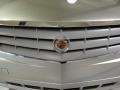 Light Platinum - SRX V6 Photo No. 25