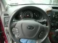 2006 Claret Red Kia Sedona LX  photo #13