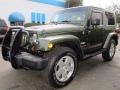 Jeep Green Metallic - Wrangler Sahara 4x4 Photo No. 7