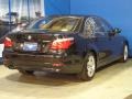 2010 Black Sapphire Metallic BMW 5 Series 528i xDrive Sedan  photo #9