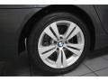 2010 Platinum Grey Metallic BMW 5 Series 528i Sedan  photo #9