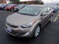 Desert Bronze - Elantra Limited Photo No. 2