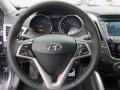 Triathlon Gray - Veloster  Photo No. 14