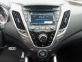 Triathlon Gray - Veloster  Photo No. 15