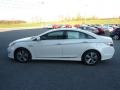 Porcelain White Pearl - Sonata Hybrid Photo No. 4