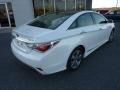 Porcelain White Pearl - Sonata Hybrid Photo No. 7