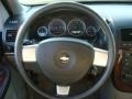 Medium Gray Steering Wheel Photo for 2008 Chevrolet Uplander #75734782