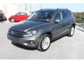 Pepper Gray Metallic - Tiguan SE Photo No. 3
