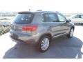 Pepper Gray Metallic - Tiguan SE Photo No. 7
