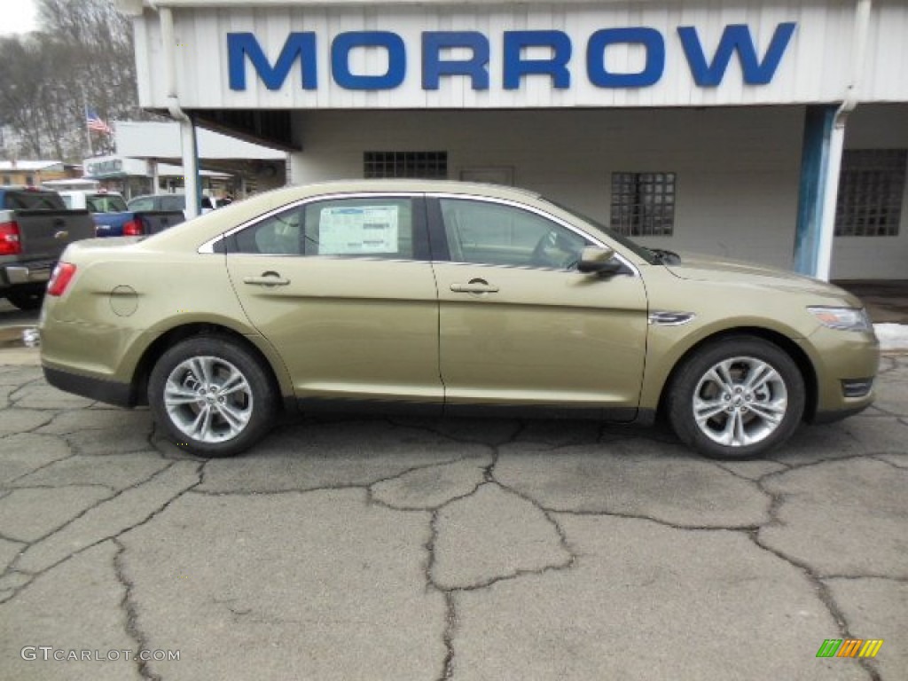 Ginger Ale Metallic Ford Taurus