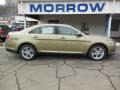 2013 Ginger Ale Metallic Ford Taurus SEL  photo #1