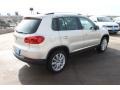 White Gold Metallic - Tiguan SE Photo No. 8