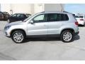 Reflex Silver Metallic - Tiguan SE Photo No. 5