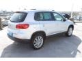 Reflex Silver Metallic - Tiguan SE Photo No. 8