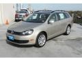 Moonrock Silver Metallic 2013 Volkswagen Jetta TDI SportWagen Exterior