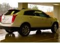 Platinum Ice Tricoat - SRX V6 Photo No. 6