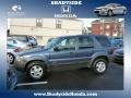 Medium Wedgewood Blue Metallic - Escape XLT V6 4WD Photo No. 1