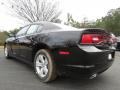 Pitch Black - Charger SE Photo No. 2