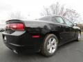 Pitch Black - Charger SE Photo No. 3