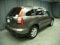 2009 Urban Titanium Metallic Honda CR-V EX 4WD  photo #5