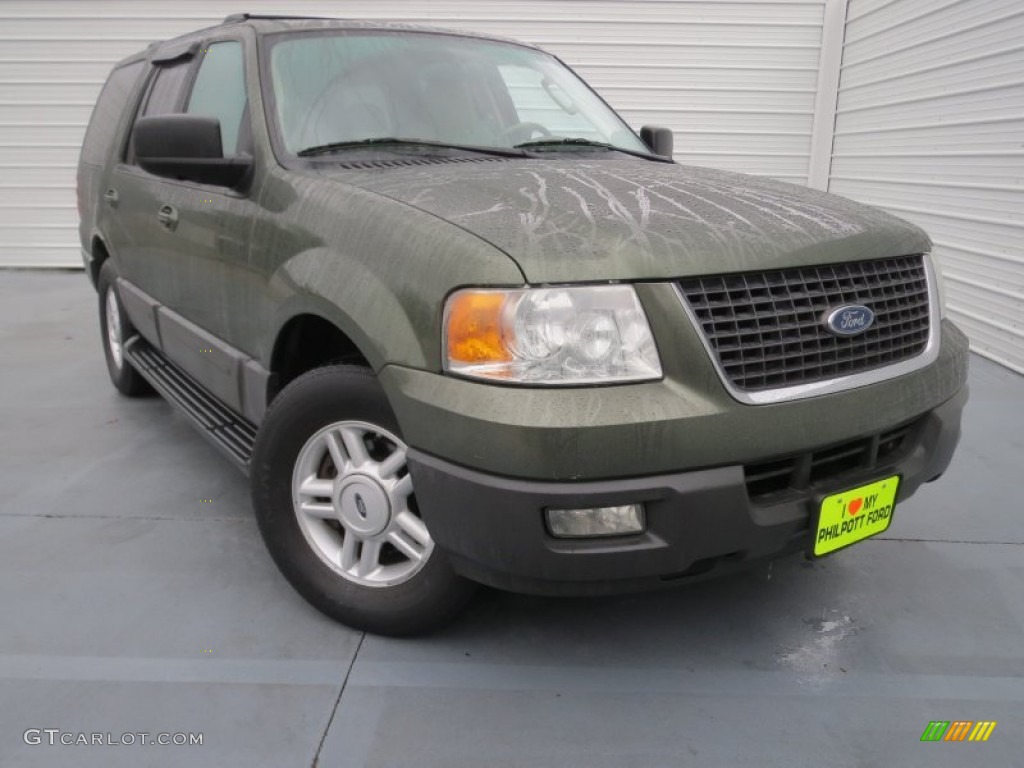 2004 Expedition XLT - Estate Green Metallic / Medium Parchment photo #1