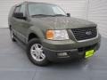 2004 Estate Green Metallic Ford Expedition XLT  photo #1