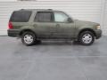 Estate Green Metallic 2004 Ford Expedition XLT Exterior
