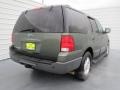2004 Estate Green Metallic Ford Expedition XLT  photo #3