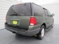 Estate Green Metallic - Expedition XLT Photo No. 3