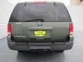 Estate Green Metallic - Expedition XLT Photo No. 4