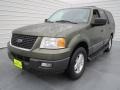 2004 Estate Green Metallic Ford Expedition XLT  photo #6