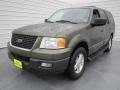 Estate Green Metallic - Expedition XLT Photo No. 6