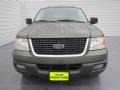 2004 Estate Green Metallic Ford Expedition XLT  photo #7