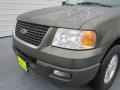 2004 Estate Green Metallic Ford Expedition XLT  photo #9