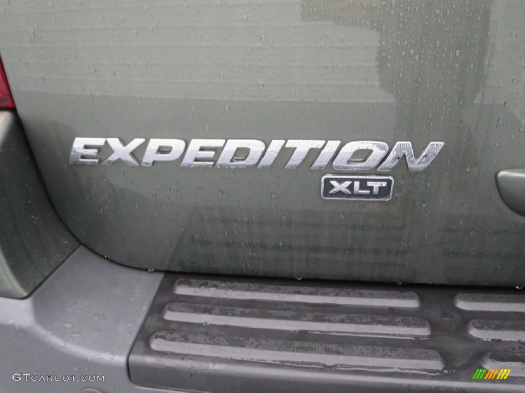 2004 Expedition XLT - Estate Green Metallic / Medium Parchment photo #16