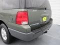 2004 Estate Green Metallic Ford Expedition XLT  photo #17