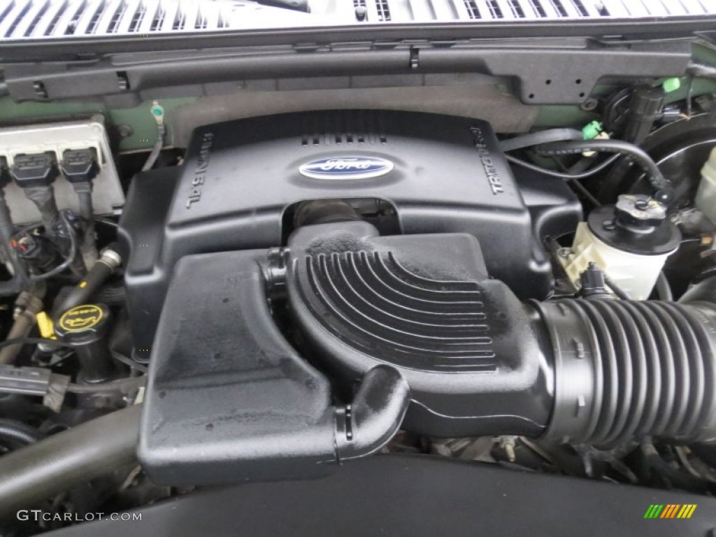 2004 Ford Expedition XLT 5.4 Liter SOHC 16-Valve Triton V8 Engine Photo #75775080
