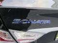 2012 Black Onyx Pearl Hyundai Sonata Hybrid  photo #14