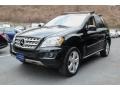 Black - ML 350 4Matic Photo No. 1