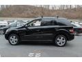 Black - ML 350 4Matic Photo No. 3