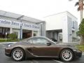 Macadamia Metallic - Cayman  Photo No. 8