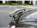 Macadamia Metallic - Cayman  Photo No. 9