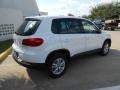 Candy White - Tiguan S Photo No. 7