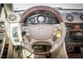 Stone Steering Wheel Photo for 2009 Mercedes-Benz CLK #75794746