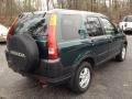 Clover Green Pearl 2003 Honda CR-V EX 4WD Exterior