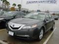 2009 Grigio Gray Metallic Acura TL 3.5  photo #2