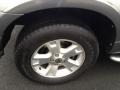 2004 Silver Birch Metallic Ford Explorer XLT 4x4  photo #17