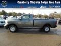 Mineral Gray Metallic 2013 Ram 1500 Tradesman Regular Cab 4x4