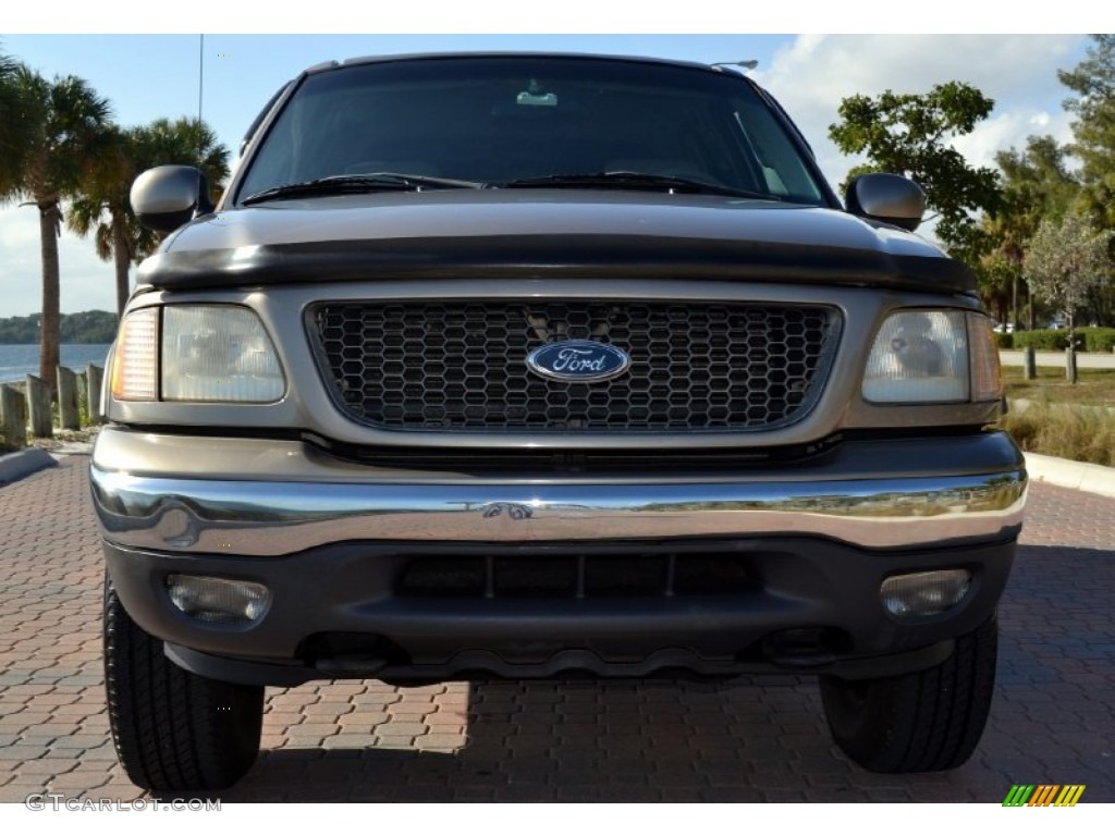 2001 F150 Lariat SuperCrew 4x4 - Arizona Beige Metallic / Medium Parchment photo #10