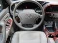 Light Charcoal 2006 Toyota Sequoia Limited 4WD Steering Wheel